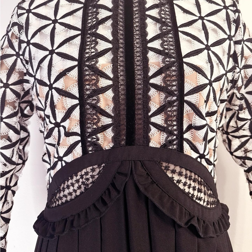 Self-Portrait Black & White Lace Pleated Maxi Dress - Picture 6 of 14